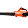 Echo DPB-310 Cordless Blower -Garden Tools Store DHC 310 L
