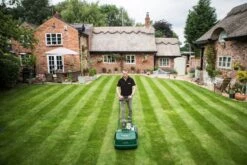 Allett Liberty 43 Cordless Lawnmower -Garden Tools Store Liberty 43 striped lawn 1024x1024 2x 926d6a85 66f4 4a1e a08f bf10ed991924